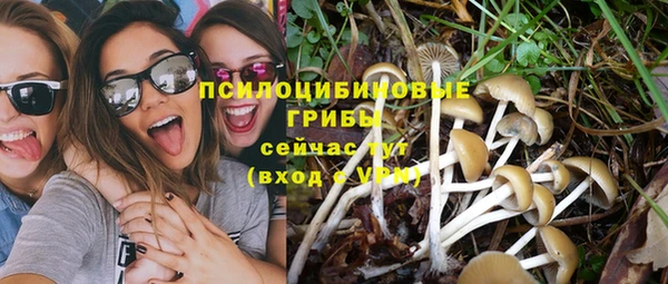мет Алзамай